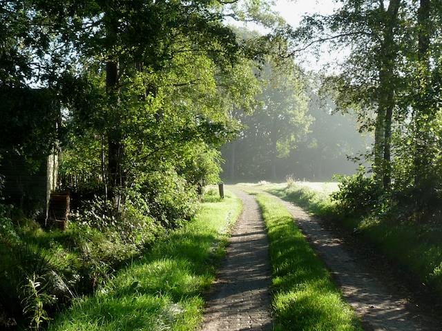 Foto 59 van Boekelterweg 16