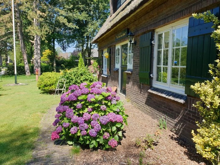 Photo 4 of Ruurloseweg 93