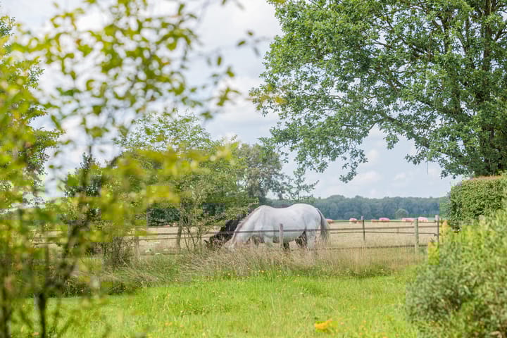 Foto 38 van Boekelterweg 16