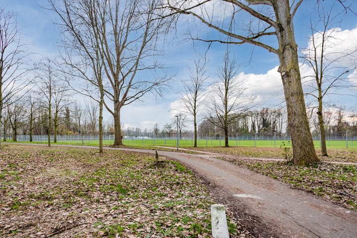 Foto 39 van Hofmark 368