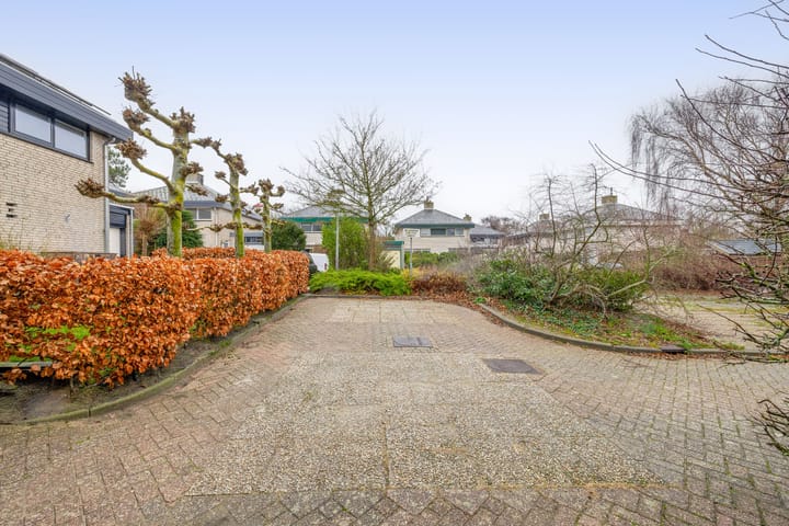 Foto 3 van Vogelzand 2506