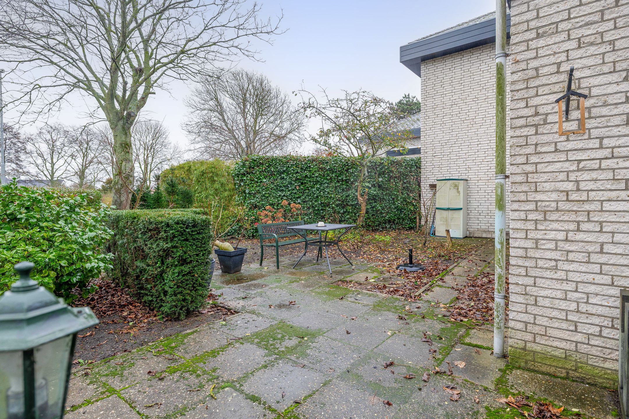 Foto 18 van Vogelzand 2506