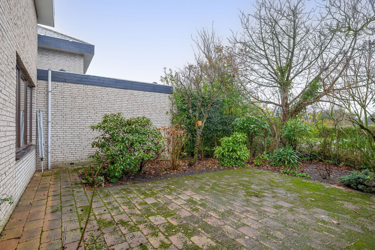 Foto 19 van Vogelzand 2506