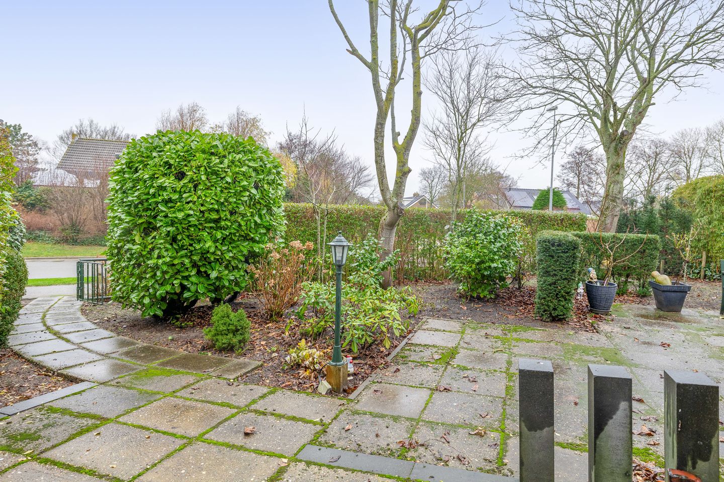 Foto 20 van Vogelzand 2506