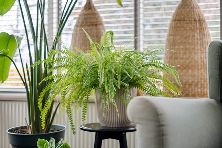 Foto 11 van Burg Feithsingel 15