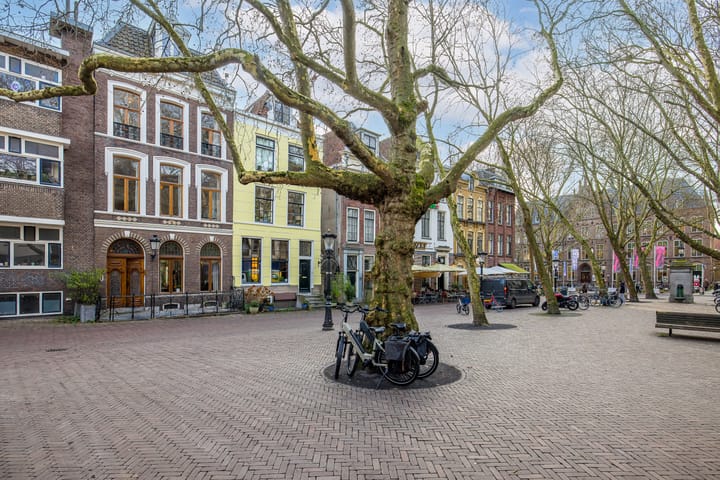 Foto 68 van Mariaplaats 53