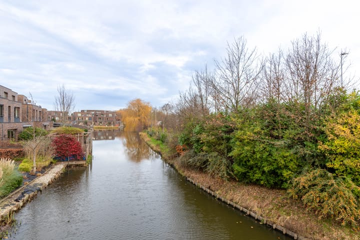 Foto 19 van Waterlelie 146