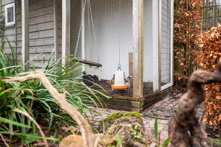 Foto 42 van Klaverlaan 30