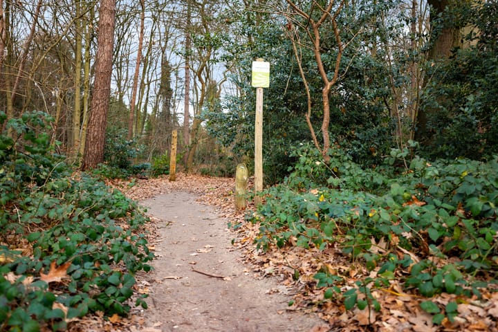 Foto 50 van Klaverlaan 30