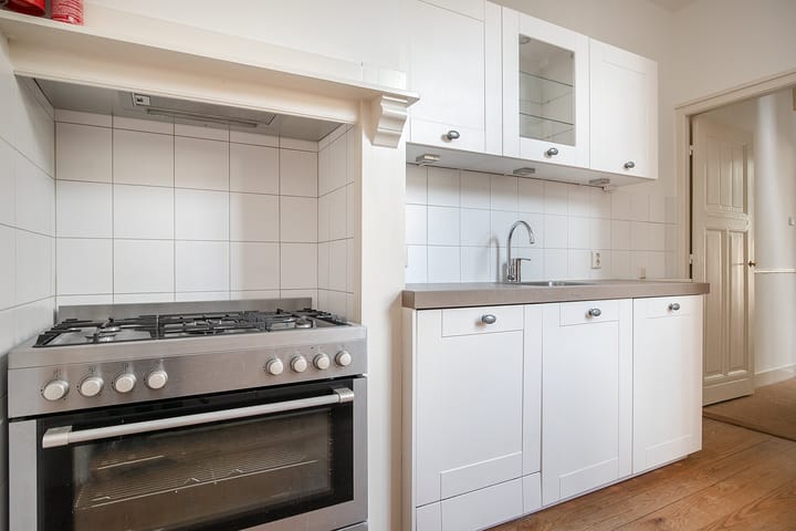 Foto 10 van Van Loostraat 65