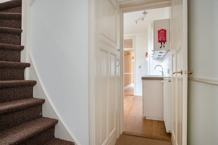 Foto 13 van Van Loostraat 65