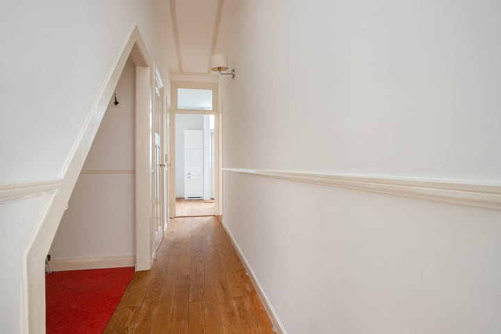 Foto 19 van Van Loostraat 65