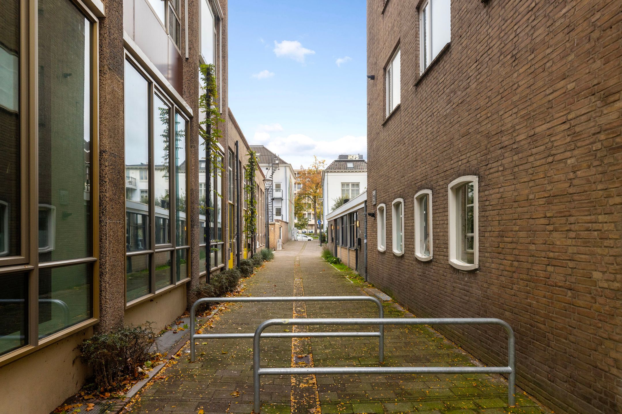 Foto 24 van Jan Dommeringpad 9