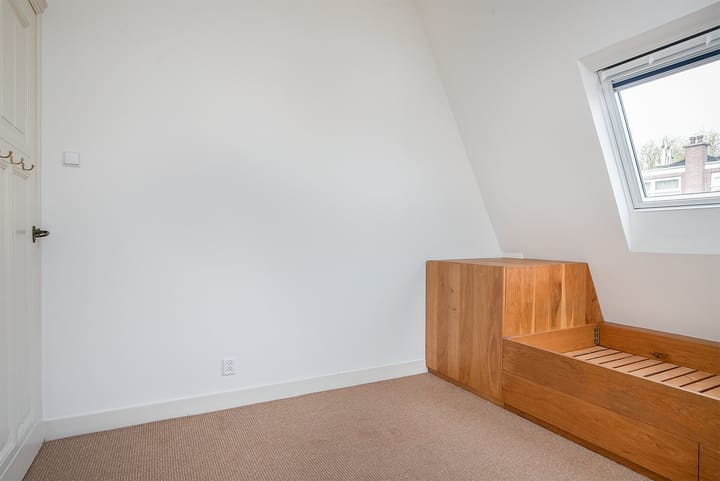 Foto 18 van Van Loostraat 65