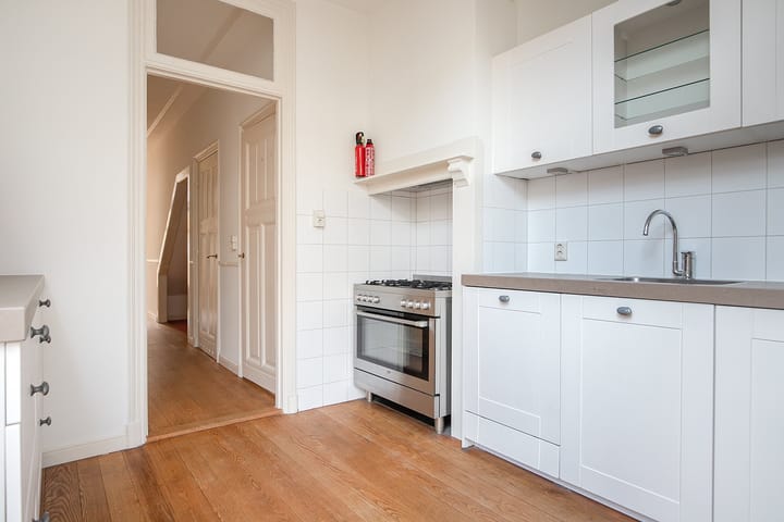 Foto 9 van Van Loostraat 65