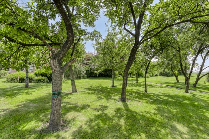 Photo 55 of Dorpsstraat 184