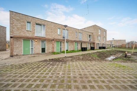 undefined main image