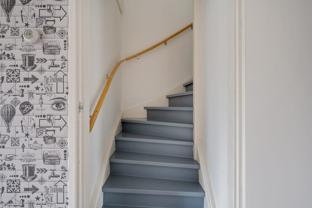 Photo 17 of Fibula 4