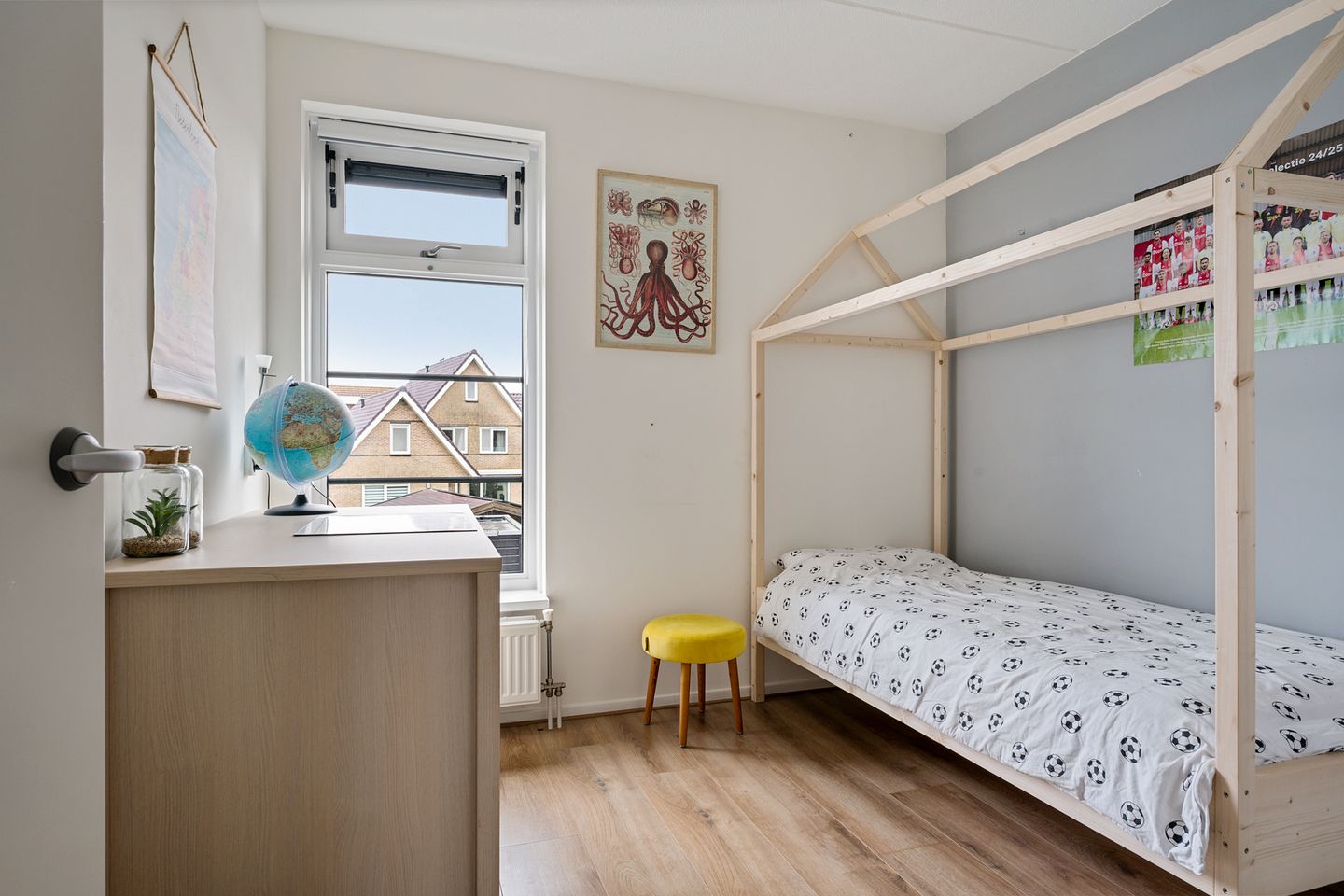 Photo 20 of Fibula 4