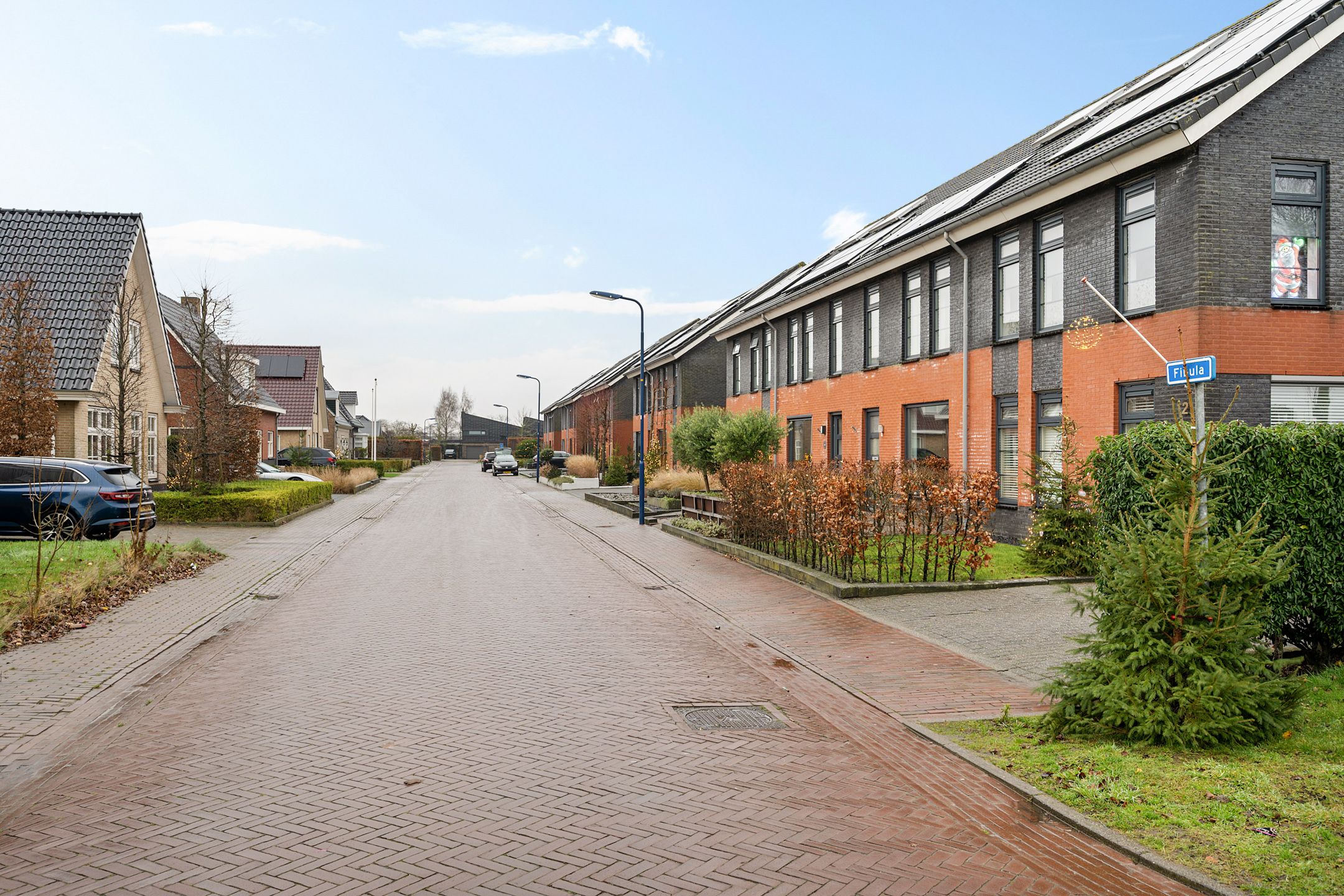 Photo 30 of Fibula 4