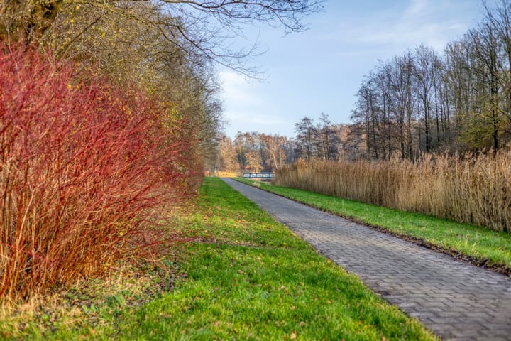 Foto 28 van Hazeleger 50