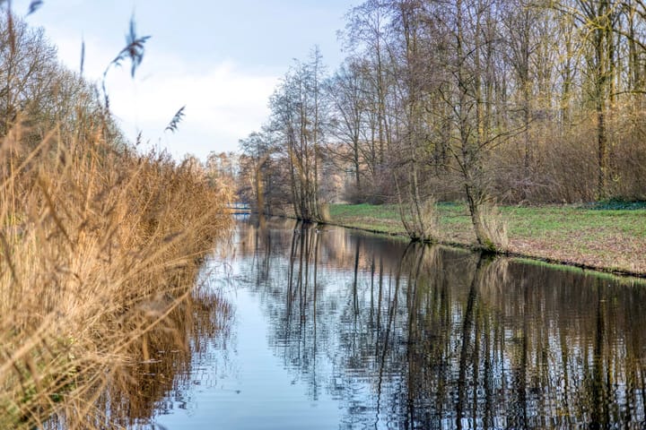 Foto 29 van Hazeleger 50