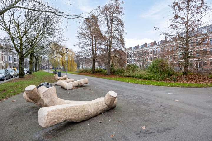 Foto 21 van Hoevestraat 44-C