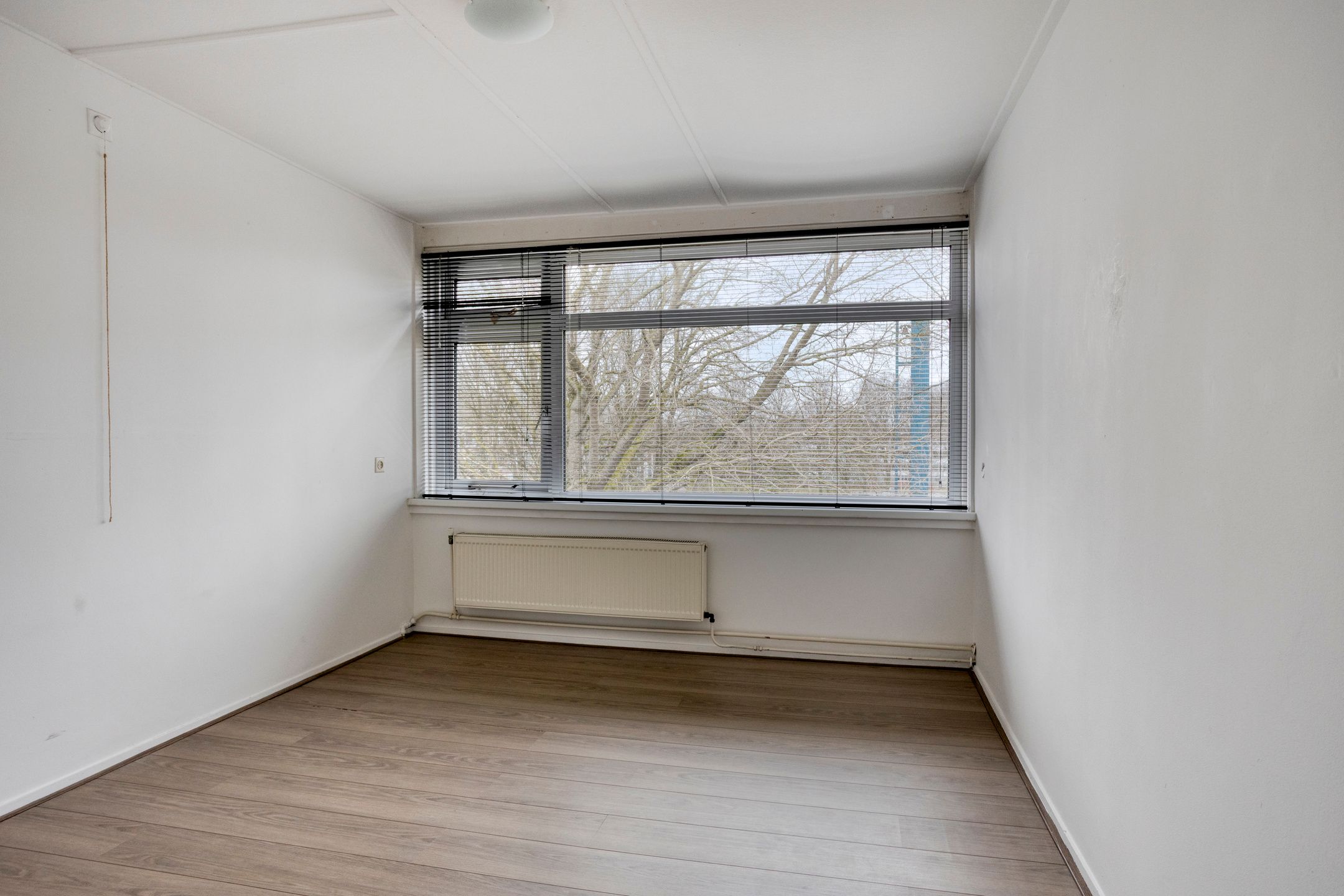 Foto 12 van 't Swin 7