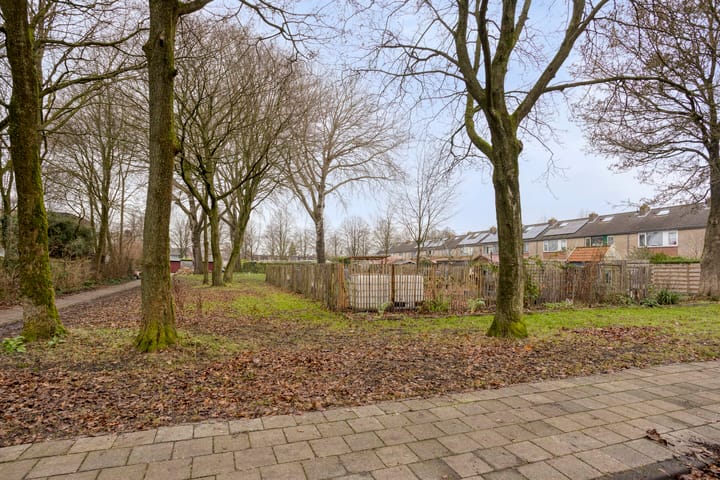 Foto 25 van 't Swin 7