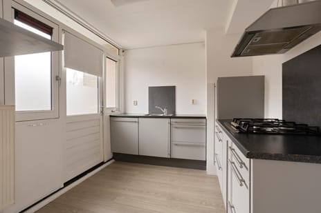 't Swin 7 tertiary image