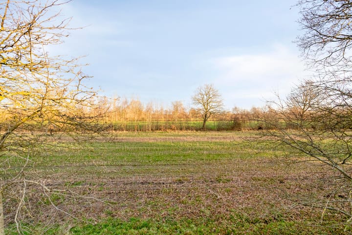 Foto 43 van Harspit 6