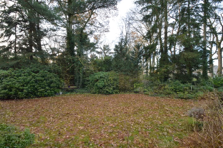 Photo 25 of Warande 13