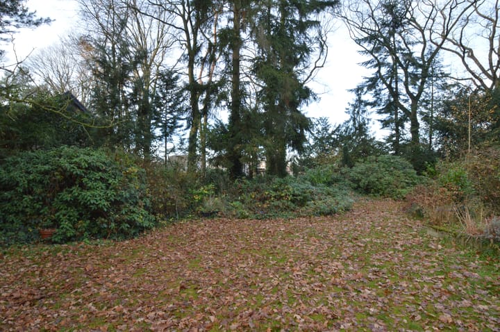 Photo 26 of Warande 13