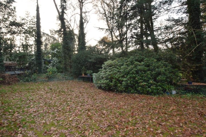 Photo 27 of Warande 13