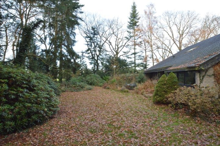 Photo 28 of Warande 13