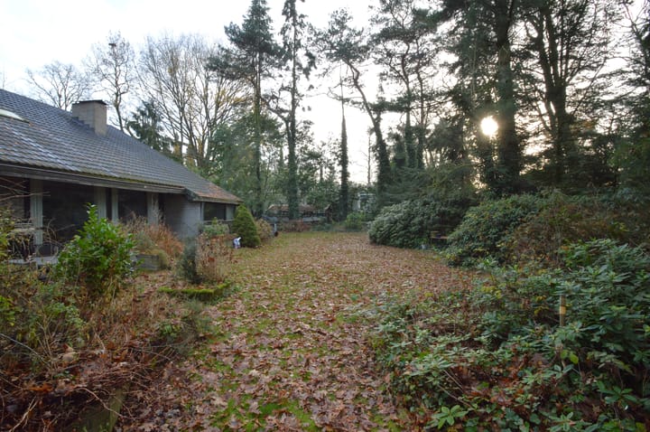 Photo 29 of Warande 13