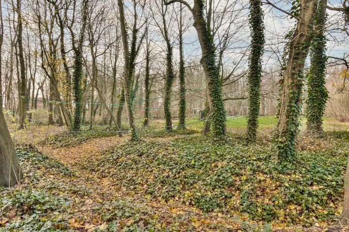 Foto 32 van Beierlandsestraat 23