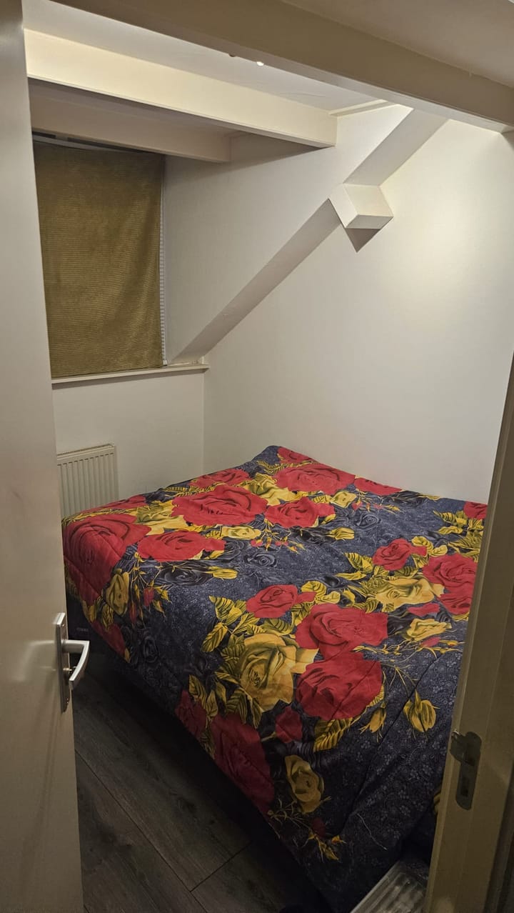 Foto 25 van Beierlandsestraat 23