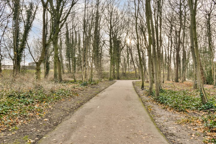 Foto 33 van Beierlandsestraat 23