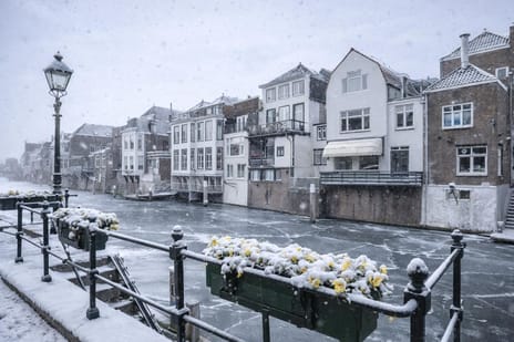 Langendijk thumbnail