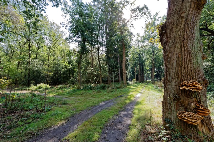 Foto 14 van Kruupweg 2