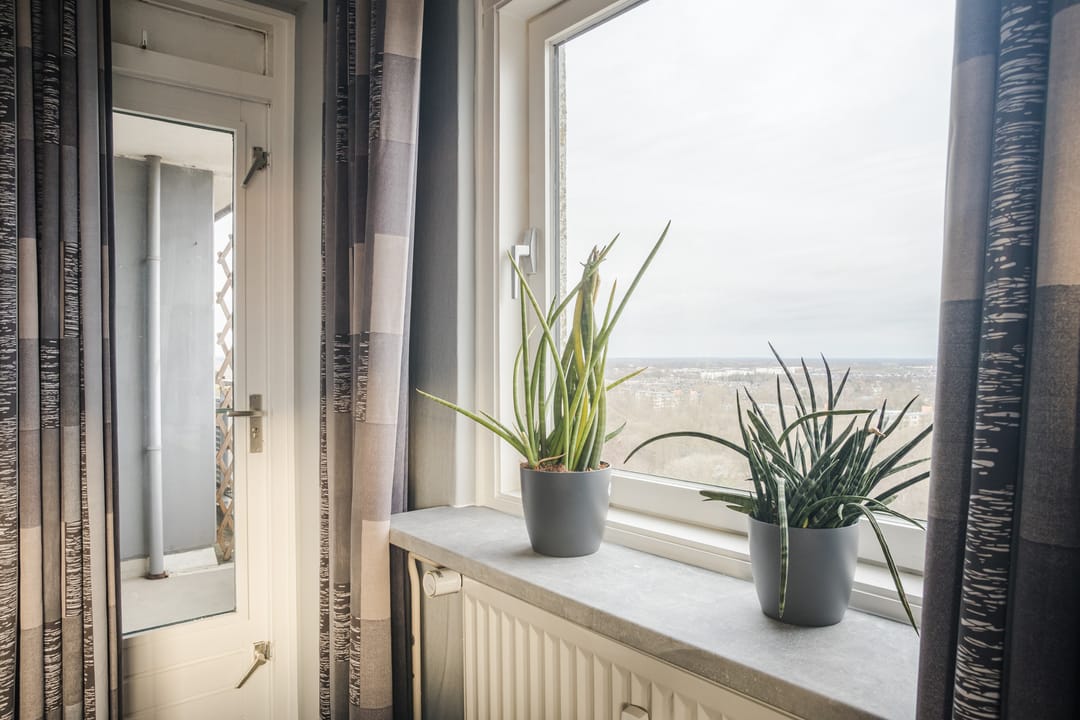 Foto 11 van Korianderstraat 122