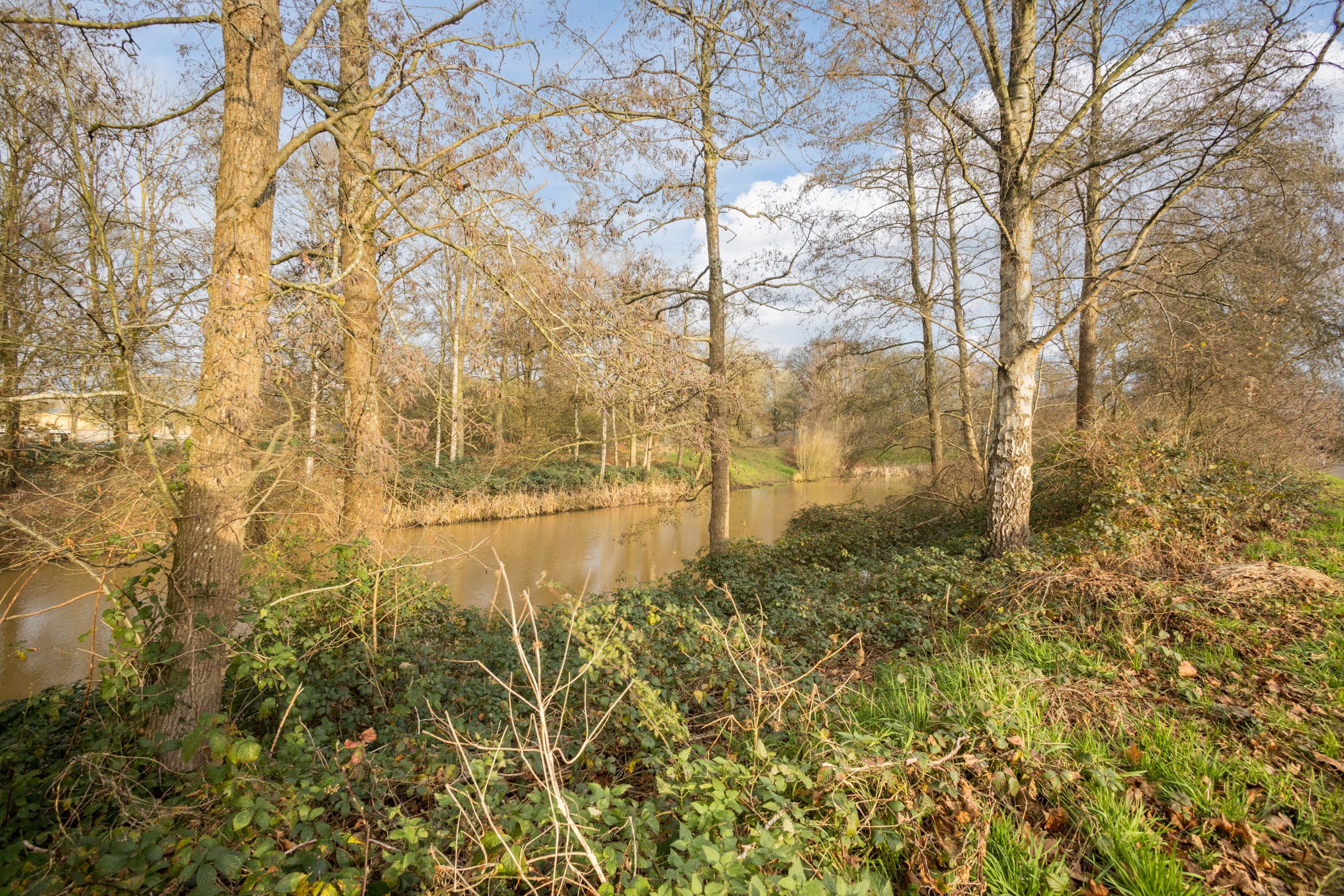 Foto 39 van Korianderstraat 122