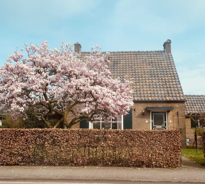 Foto 5 van Hamburgerweg 8