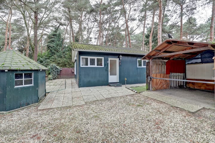 Foto 6 van Steenoven 12-B15