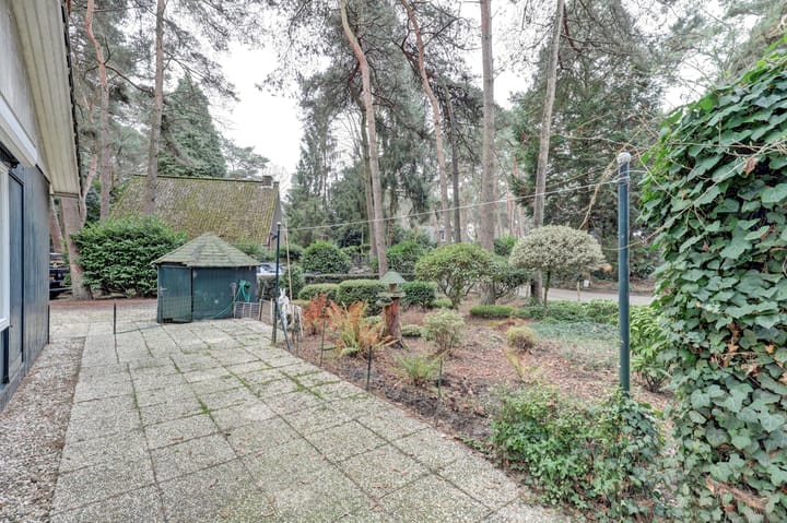 Foto 23 van Steenoven 12-B15