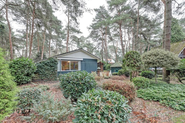 Foto 24 van Steenoven 12-B15