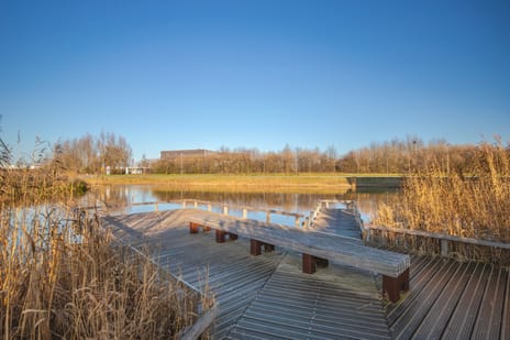 Ruijgenpad 17 secondary image