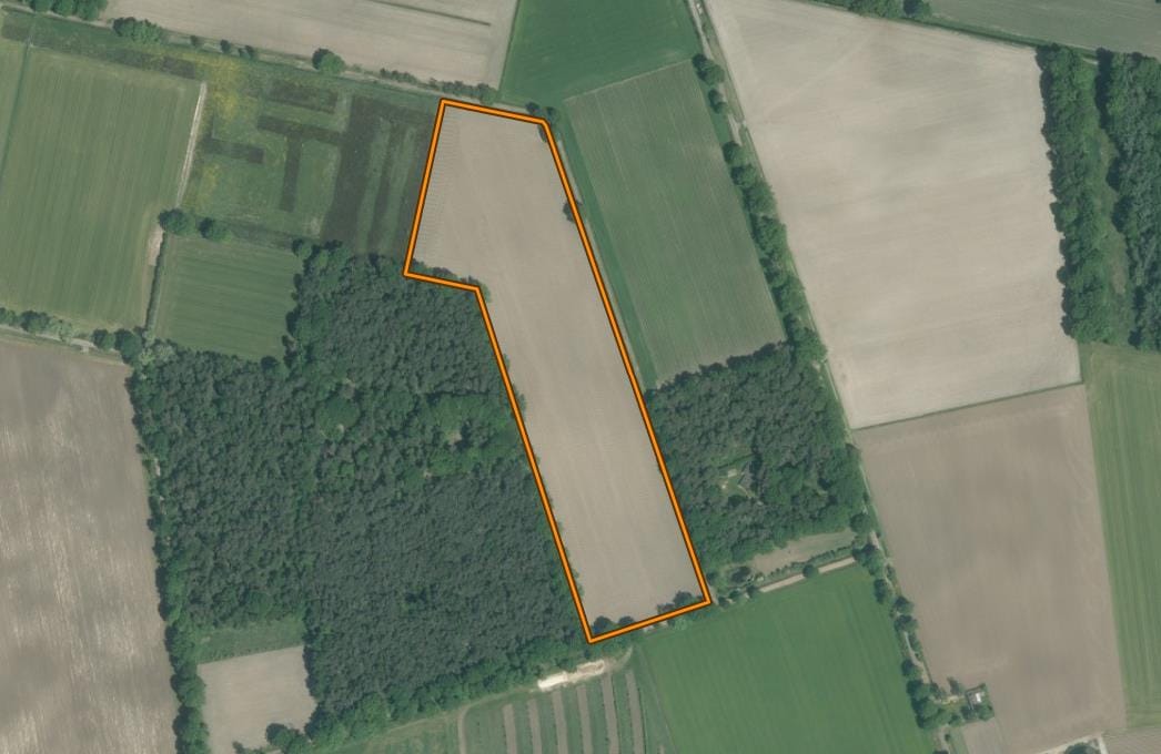 Bekijk foto 5 van De Hei