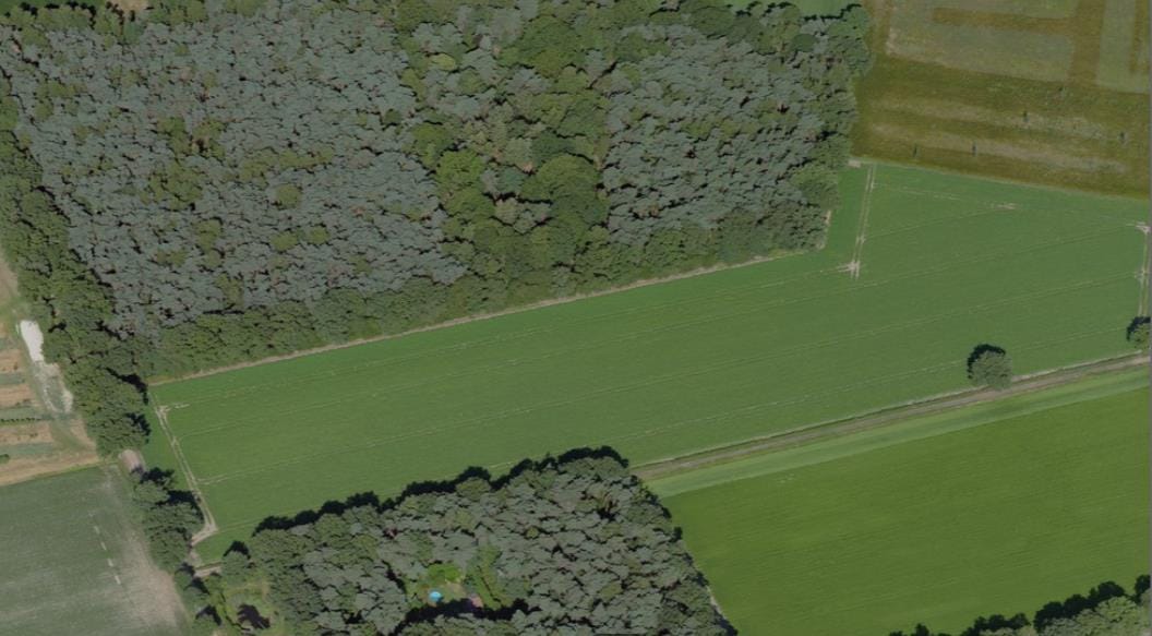 Bekijk foto 3 van De Hei